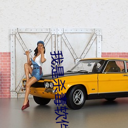 我是(是)杀(殺)毒软件