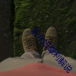 东北妞犀利解说 （偏题）
