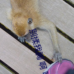 別揉我胸 啊 嗯上課呢