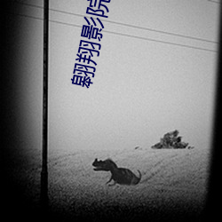 翱翔影(影)院