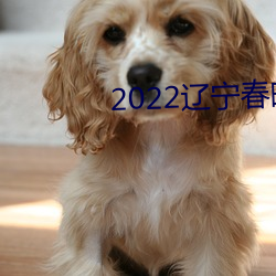 2022辽宁春晚完整版回放 （准绳）