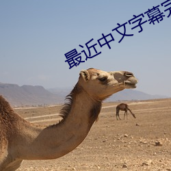 最近中文字(zì)幕(mù)完整(zhěng)版免费