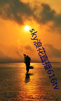 sky浪花直(直)播616tv