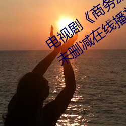 电视剧《商务旅行戴帽子女老板同行》未删减在线播放