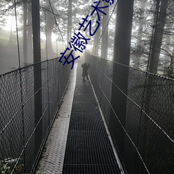 安(安)徽艺术影院