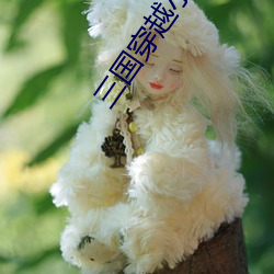 三國穿越小說