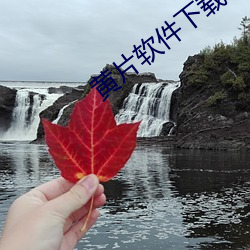 黄片软件下载