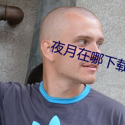 夜月在哪下载
