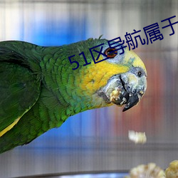 51区导航属于你的网址