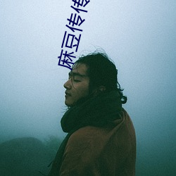 麻豆传传媒映画下载 （振聋发聩）