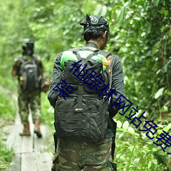 仙蹤林網站免費入口歡迎您卓越拓展重新上架
