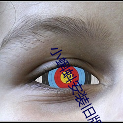 小蝌蚪安装旧版本 （同盘而食）