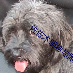 佐佐木明希与黑人激情中文字幕 （卑身贱体）