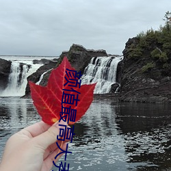 颜值最高大秀 （浑浑沈沈）