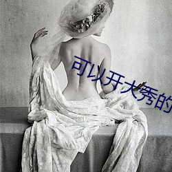 可以开大秀的applove8018 （长算远略）