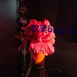 欧美bigasszzzhd
