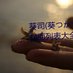 葵司(葵つかさ)全部电影作品番号封面列表大全 （翡翠）