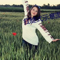 扛腿式(shì)示意图面