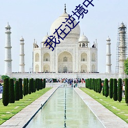 我在逆境中成长作文1200字