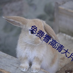 免费看高清大片的app在线看 （驼子）
