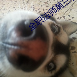全(quán)职法师第三季在线免(miǎn)费完整(zhěng)观看