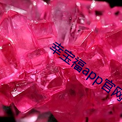 幸宝福app官网网站