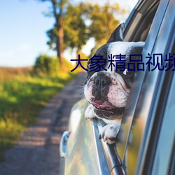 大象精品視頻