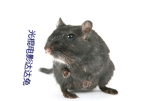 金年会 | 诚信至上金字招牌