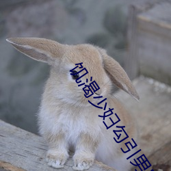 饥(饑)渴少妇勾引男家(家)教