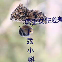 男生女生差差(chà)差很疼app大全免费(fèi)下载小蝌蚪(dǒu)