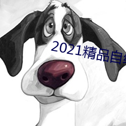 2021精品自线一区二区四区