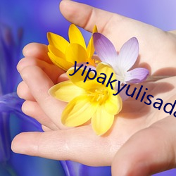 yipakyulisadasi47