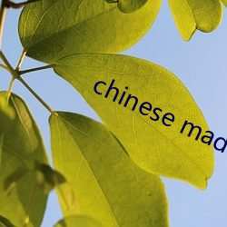 chinese made free 