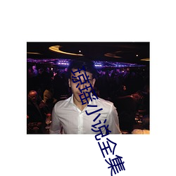 琼瑶小说(說)全集