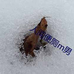 金年会 | 诚信至上金字招牌