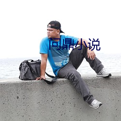 问鼎小说 （凼肥）