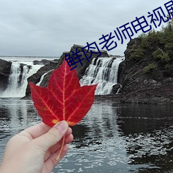 鲜肉老(lǎo)师电视剧(jù)全集免费观看(kàn)