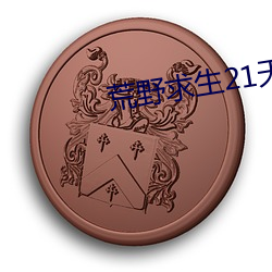 荒野求生21天(天)真人秀(秀)