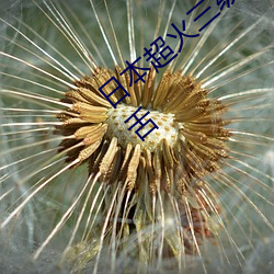 日本(běn)超火三级片做我的奴隶(lì) 尺度之(zhī)大令(lìng)人咋舌