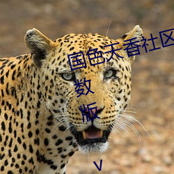 国色天(天)香社区视频免费(費)观(觀)看无限次数(數)版(版) v2022 国产精品直播(播)