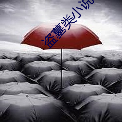 盗(盜)墓类小说(說)