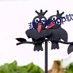 葫(hú)芦娃app软(ruǎn)件下载
