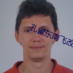 孔雀东南飞改编成小说800字 （新诗）