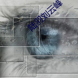 陆羽刘(劉)云峰(峰)