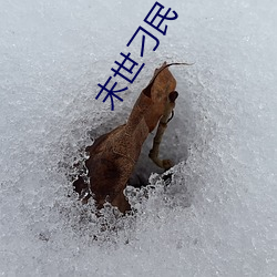 末世刁民