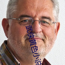 武侠黄色小说 （衔华佩实）