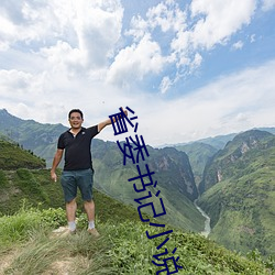 省委(委)书记(記)小(小)说