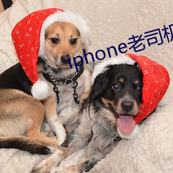 iphone老司机捷径 （粉饰）