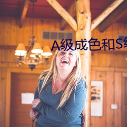 A级成色和S级成色有什么区别