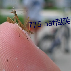 775 aat泡芙直播下载 （信而有徵）